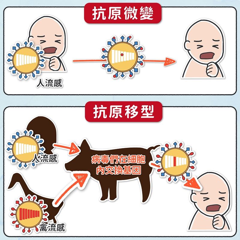 抗原微變